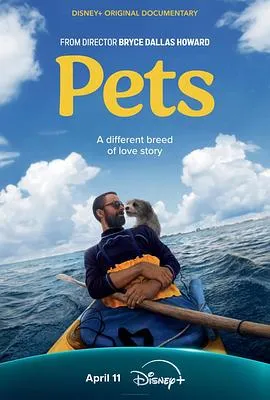 宠2025